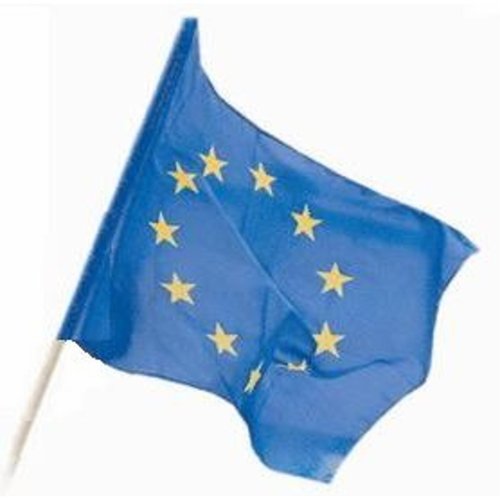 Flaga UNII EUROPEJSKIEJ - 70x112 cm.
