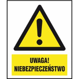 Z-156CH - Znak ostrzegawczy dla materiałów niebezpiecznych „Uwaga! Niebezpieczeństwo” - 220x300