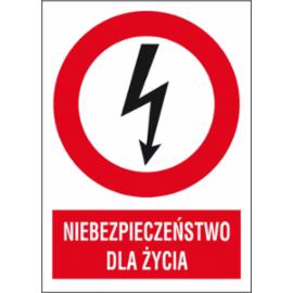 ZZ-1EZA - Znak elektryczny Niebezpieczeństwo dla życia.  - 210x297-148X210