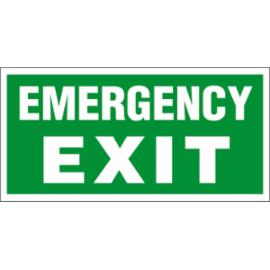 ZZ-30E - Znak ewakuacyjny Emergency exit - 200x400-150x300