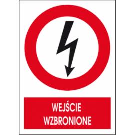 ZZ-5EZA - Znak elektryczny Wejście wzbronione.  - 105X148-148X210